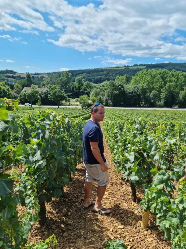 John Corsin_vigne_Lep producteur Français