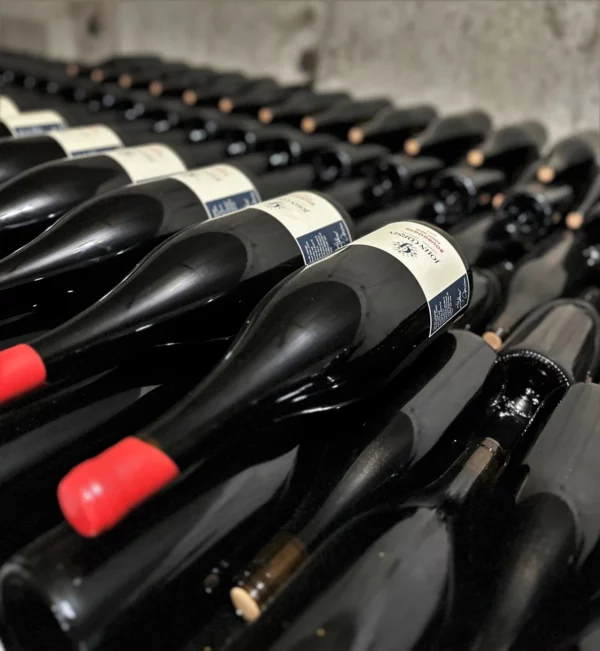Le producteur Français - Domaine John Corsin - Vin Bio - pinot