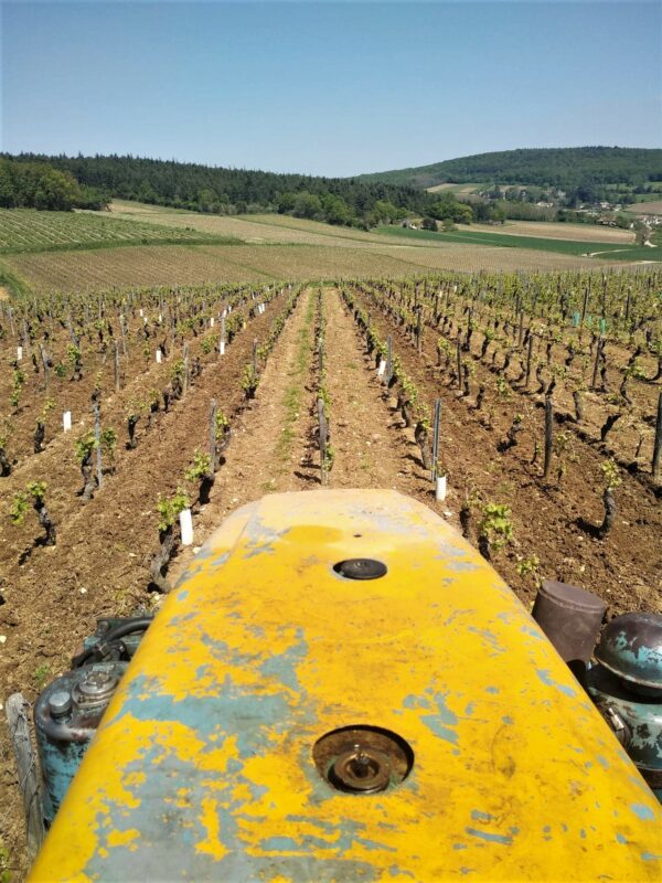 Le producteur Français - Domaine John Corsin - vin - Tracteur