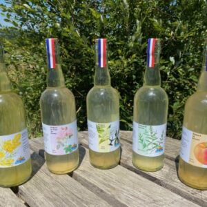 Assortiment de Pétillants (lot 2 x 3 saveurs) sans alcool - Ferme Sinsac