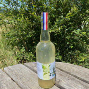 Lot de 6 pétillants aux fleurs de sureau sans alcool - Ferme Sinsac