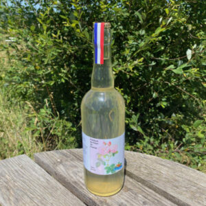 Pétillant à la rose de Damas sans alcool - Ferme Sinsac