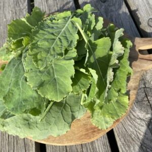 Bouquet de jeunes feuilles de chou de daubenton - Ferme Sinsac