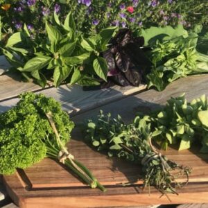 Panier d’aromates frais - Ferme Sinsac