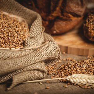 Blé à consommer bio - La ferme de Franck et Blandine