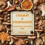 Champi & Compagnie