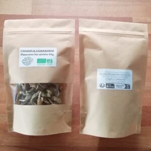 pleurotes sechés - champi et compagnie - Le producteur Français.jpg